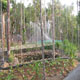 Watershed and Water Harvesting