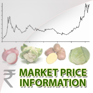 Market Price Information