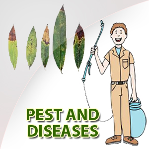 Pest and Diseases