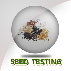 Seed Testing
