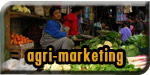  Agriculture Marketing