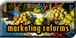 Marketing Reforms
