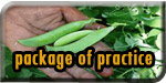 Agri Package of Practice