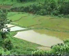 Agriculture in Ri-Bhoi District