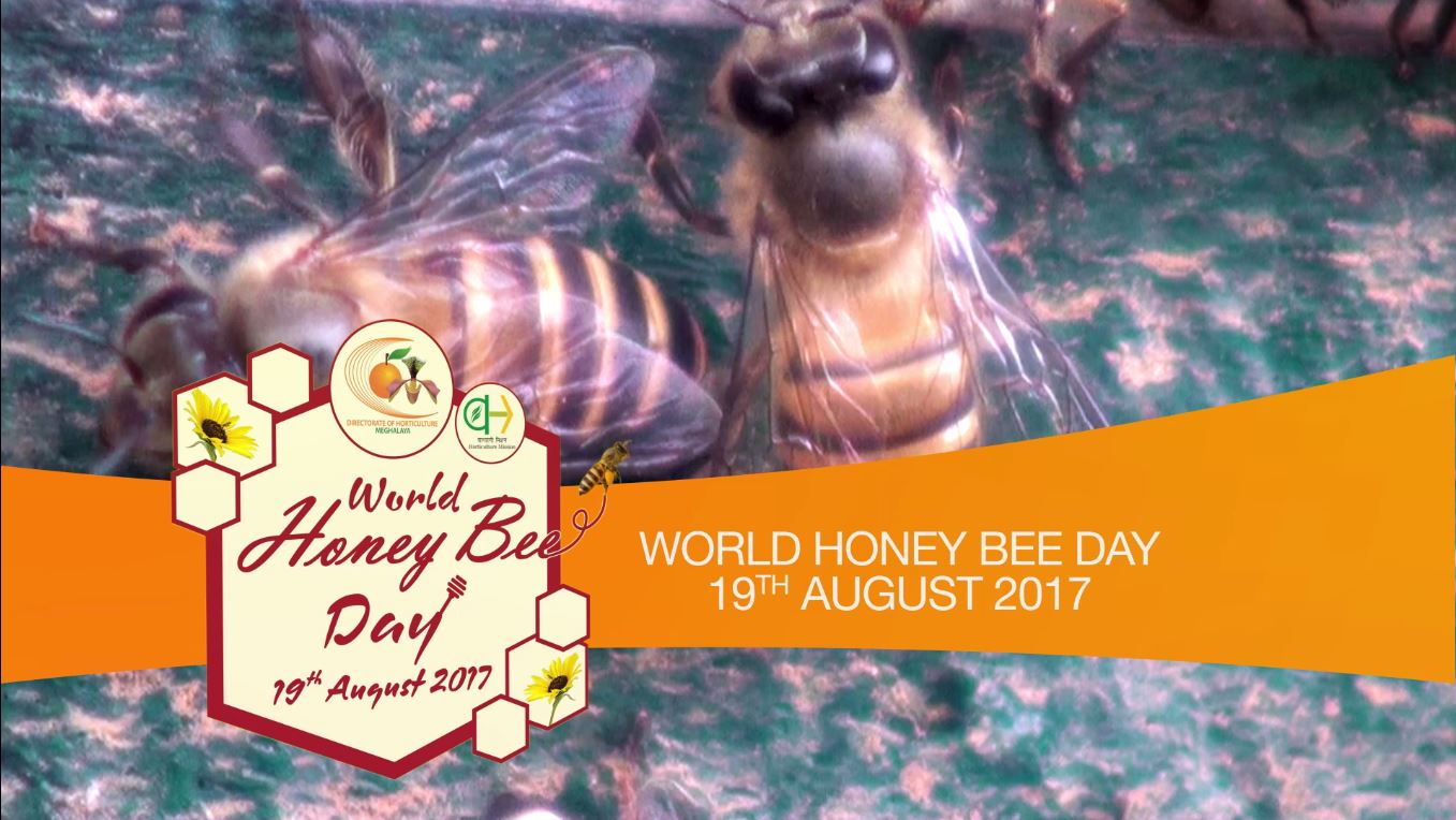 World Honey Bee Day - 19th August 2017